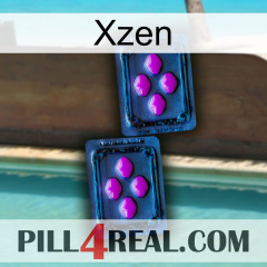 Xzen 03